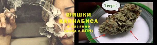 шишки Пестово