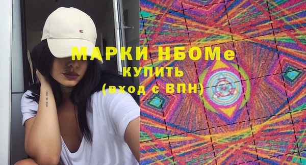 шишки Пестово