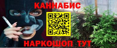 ALPHA PVP Гусев