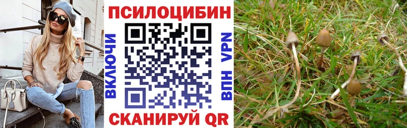 Псилоцибиновые грибы MAGIC MUSHROOMS  Ступино 