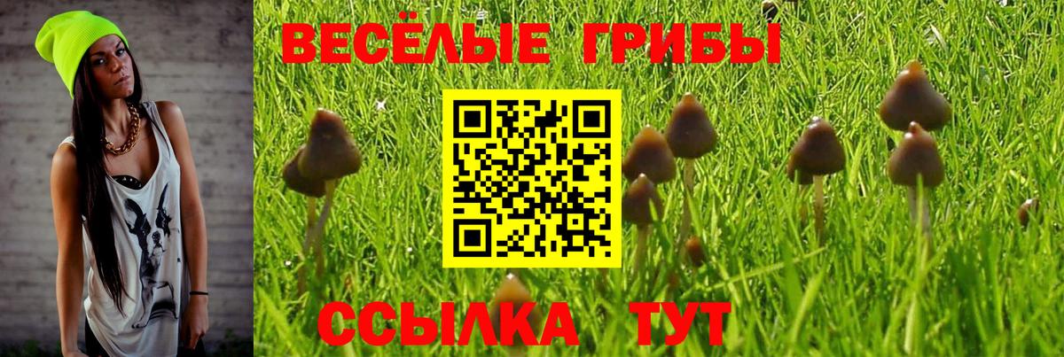 Галлюциногенные грибы Cubensis  Галлюциногенные грибы Psilocybe  Ступино 