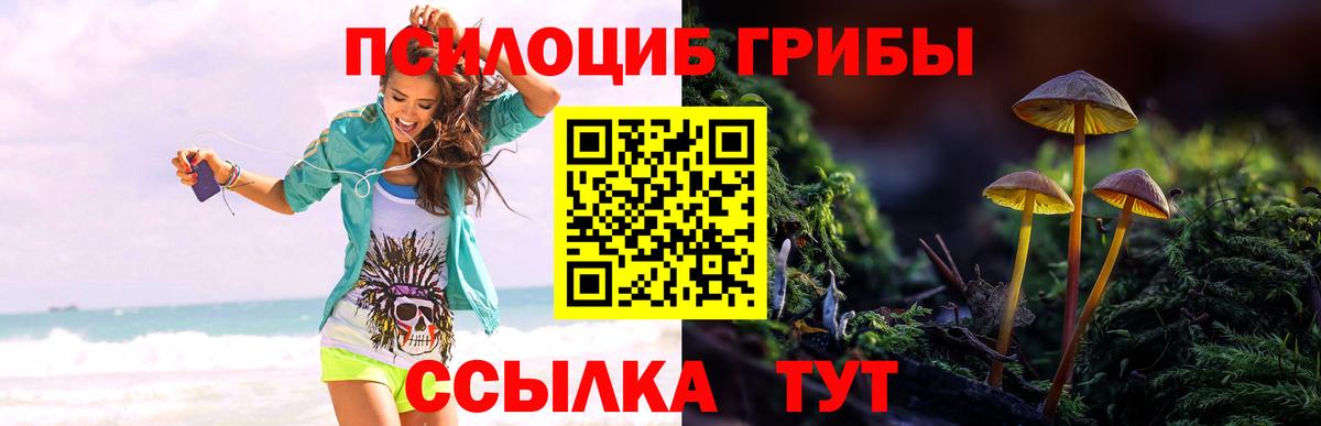 Псилоцибиновые грибы Psilocybe  Вход с VPN  закладка  Ступино 